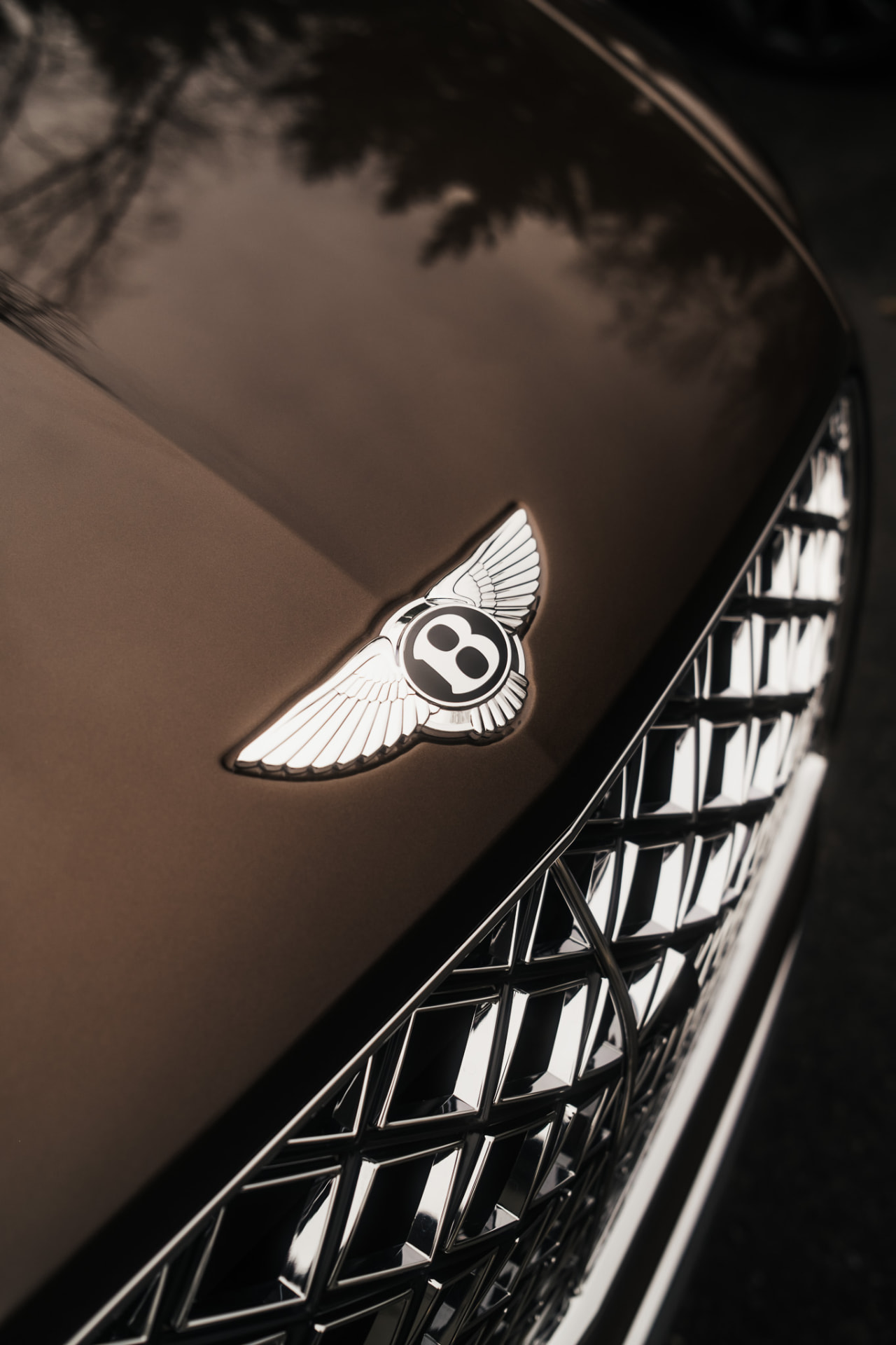 Bentley winged badge and mesh grille detail in bronze paint